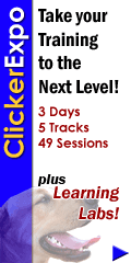 Clicker Training Expo