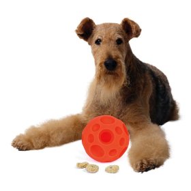 Omega Paw Tricky Treat Ball Giveaway